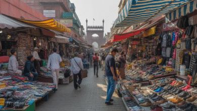 Delhi Chor Bazaar